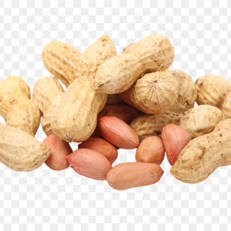 kisspng-peanut-seed-legume-pistachio-peanut-5abbe54c8859a1.6765933315222633725585